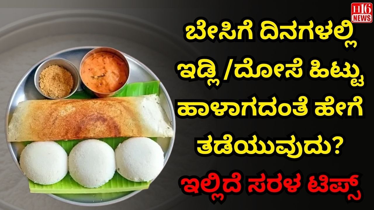 ಬೇಸಿಗೆ ದಿನಗಳಲ್ಲಿ ಇಡ್ಲಿ /ದೋಸೆ ಹಿಟ್ಟು ಹಾಳಾಗದಂತೆ ಹೇಗೆ ತಡೆಯುವುದು? ಇಲ್ಲಿದೆ ಸರಳ ಟಿಪ್ಸ್