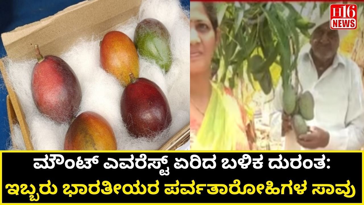 ಜಪಾನ್ ಮಾವಿಗೆ ಟಕ್ಕರ್ ಕೊಟ್ಟ ಬೀದರ್ ರೈತನ ವಿಶೇಷ ಬೆಳೆ