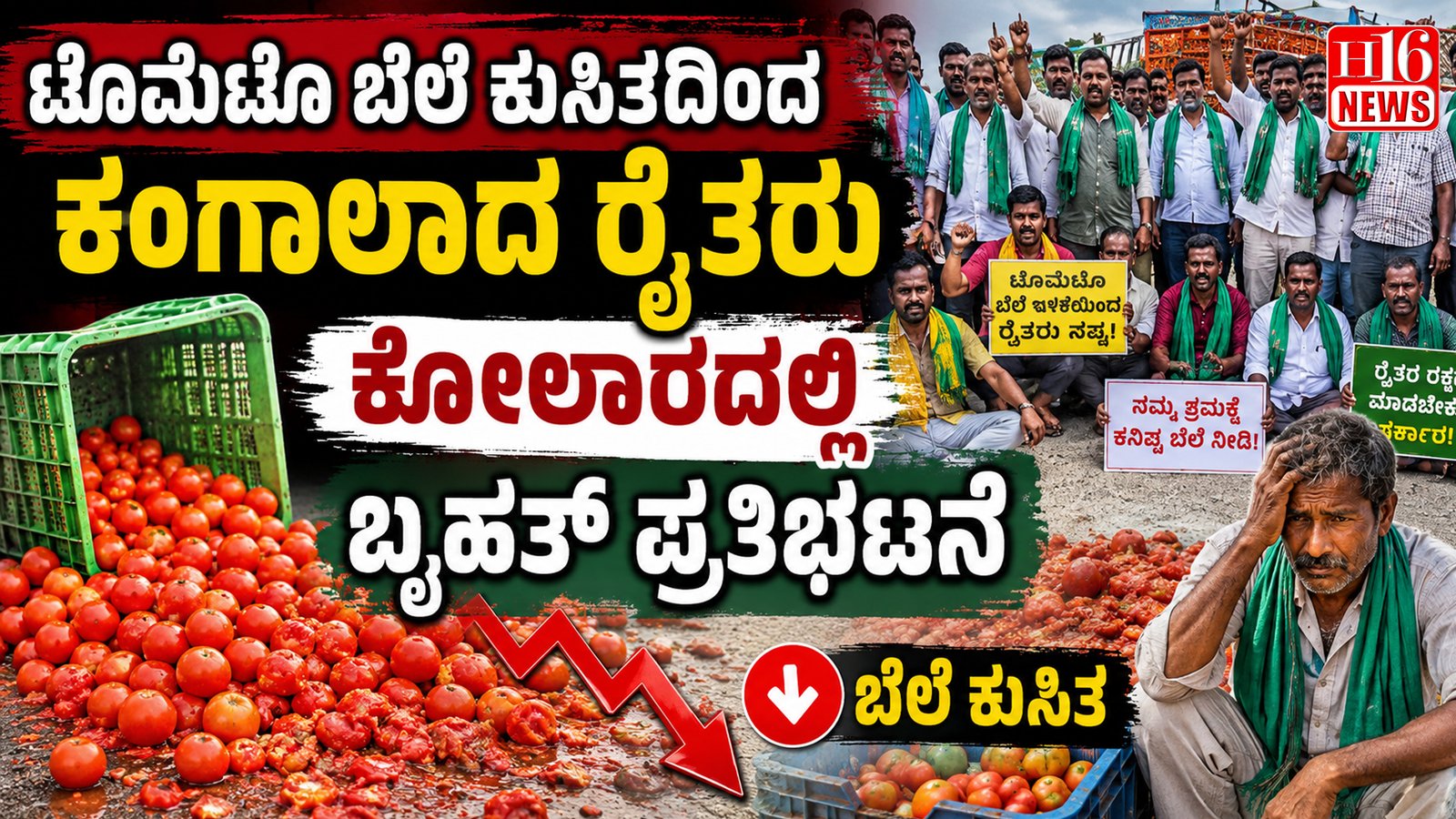 ಟೊಮೆಟೊ ಬೆಲೆ ಕುಸಿತದಿಂದ ಕಂಗಾಲಾದ ರೈತರು : ಕೋಲಾರದಲ್ಲಿ ಬೃಹತ್ ಪ್ರತಿಭಟನೆ